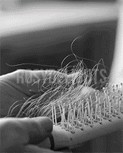 Comb & Hairbrush Cleaner