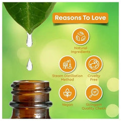 Vitamin C Turmeric Face Oil